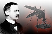 SEJARAH POPULER: Ronald Ross penemu parasit malaria berkebangsaan Inggris