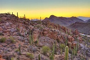 What to See and Do on a Visit to Tucson, Arizona