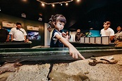 屏東海生館『巨鯨之路』啟航藍鯨骨骼標本展蘊含生命教育啟發 | 生活 | 三立新聞網 SETN.COM