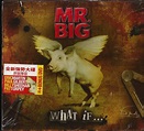 Mr. Big – What If... (2011, CD) - Discogs