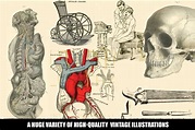 100 Vintage Medical Illustrations By Dene Studios | TheHungryJPEG