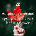 Fall Quotes and Sayings | Keep Inspiring Me
