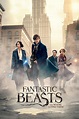 Mr. Movie: Fantastic Beasts and Where to Find Them (2016) (Movie Review)