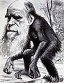 TIL the original title of Charles Darwin's groundbreaking book was "On ...