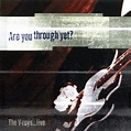 Classic Album Review: The V-Roys | Are You Through Yet? - Tinnitist