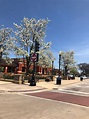 Downtown Downers Grove, Illinois, May 2018. | Phong cảnh, Cánh