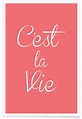 C'est La Vie Poster | JUNIQE