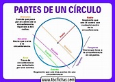 Las partes de un circulo - ABC Fichas