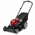 Murray 21" Gas Push Lawn Mower with Briggs and Stratton Engine, Side ...
