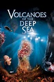 Volcanoes of the Deep Sea - Alchetron, the free social encyclopedia