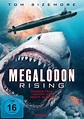 Poster zum Film Megalodon Rising - Dieses Mal kommt er nicht allein ...