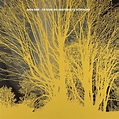 ‎The Stars Are Indifferent to Astronomy - Album by Nada Surf - Apple Music