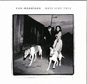 Van Morrison – Days Like This Lyrics | Genius Lyrics