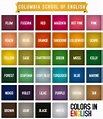 Color Names List Of Colors In English With The Pictur - vrogue.co