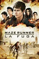 Maze Runner - La fuga (2015) — The Movie Database (TMDB)
