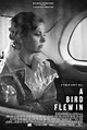 A Bird Flew In (2022) movie posters