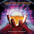 Liquid Tension Experiment Spontaneous Combustion - Silver Vinyl - Seal ...