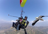 'Parahawking', the quirky sport that allows you to soar through the sky ...