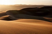 ‘Eden: Untamed Planet’ Recap – ‘Namib: Skeleton Coast and Beyond ...
