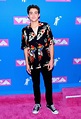 MTV VMAs 2018: Fashion—Live From the Red Carpet | Joshua, Bassett ...