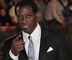 Wesley Snipes Biography - Facts, Childhood, Family Life & Achievements