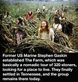 Strange But True Facts That Are Hard To Believe (22 pics)