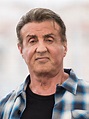 Sylvester Stallone Spotted In 500 Year Old Painting - vrogue.co