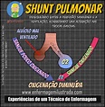 Shunt Pulmonar: O que é? - Enfermagem Ilustrada