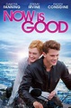 Now Is Good | Belle of the Library