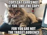 Copy Cat - Imgflip