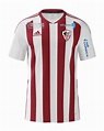 Camiseta Local AC Ajaccio 2022-23