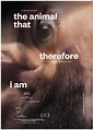 The animal that therefore I am – What does an animal see when she looks ...
