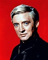 Oskar Werner – Wien Geschichte Wiki