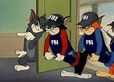 I remade the old Tom FBI meme, now in HD and with more realistic ...