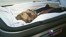 La muerte de Amado Carrillo Fuentes continúa siendo un misterio | Shows ...