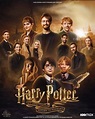 Harry Potter : Retour à Poudlard (Harry Potter 20th Anniversary ...