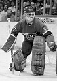 Steve Penny Montreal Canadiens 1985 | HockeyGods