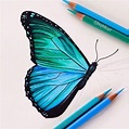 Illustration Inspo #2 | Easy butterfly drawing, Prismacolor art, Color ...