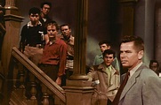 Semilla de maldad (1955)