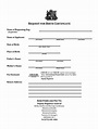 Louisiana Birth Certificate Pdf Form | The Art of Mike Mignola