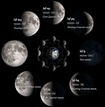 Lunar phases! : r/conlangs