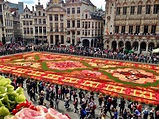 Flower Carpet, Brussels, Belgium | The Culture Map