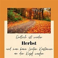 Herbst Sprüche, Zitate und Gedichte für einen netten Gruß | Herbst ...