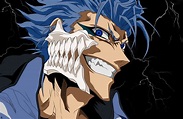 Grimmjow Wallpaper by QuiverTear on DeviantArt