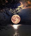 Pin by Crystal Pilcher on WALLPAPER | Beautiful moon, Nature ...