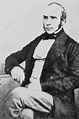 Portrait of John Snow, British physician. - Stock Image - H419/0187 ...