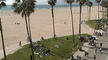 EarthCam - Venice Beach Cam