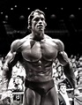35 Awesome High-Res Photos Of Arnold Schwarzenegger | Culturismo ...