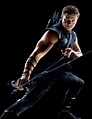 Pin by Meredith Miller on RA ideas | Jeremy renner, Avengers movie ...