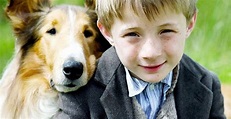 Lassie - película: Ver online completas en español
